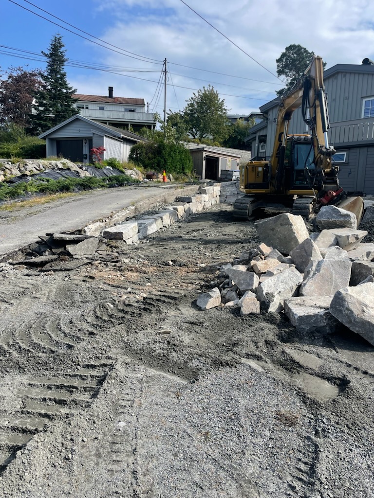 Arbeidsfremdrift 2